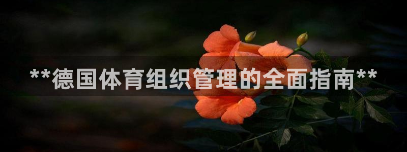 必一体育sport官