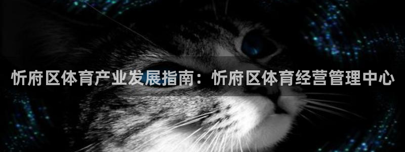 必一体育网址：忻府区