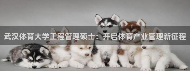 必一体育运动官网：武