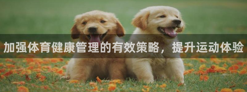 必一体育app平台下