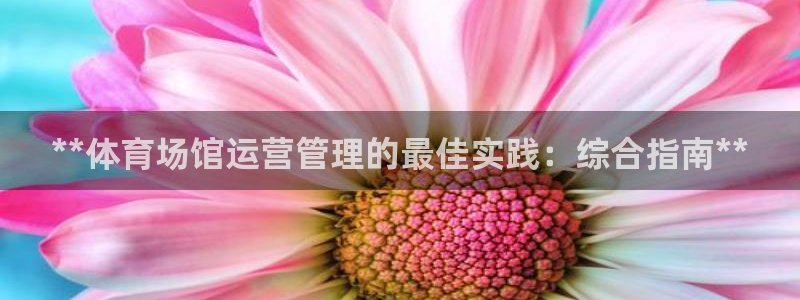 必一运动·(b-sp