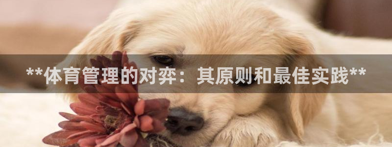 必一体育运动app：