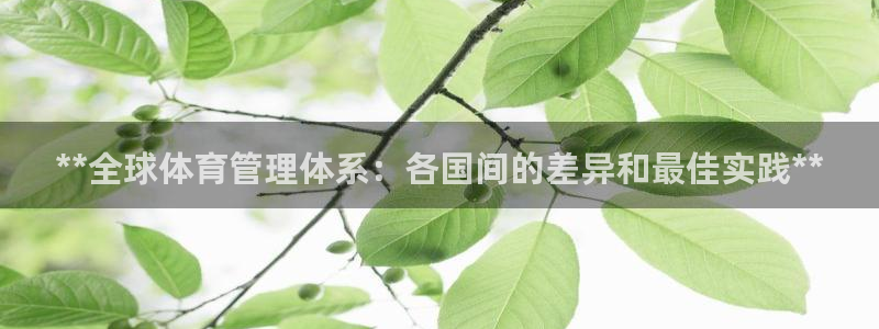 必一体育登录入口AP