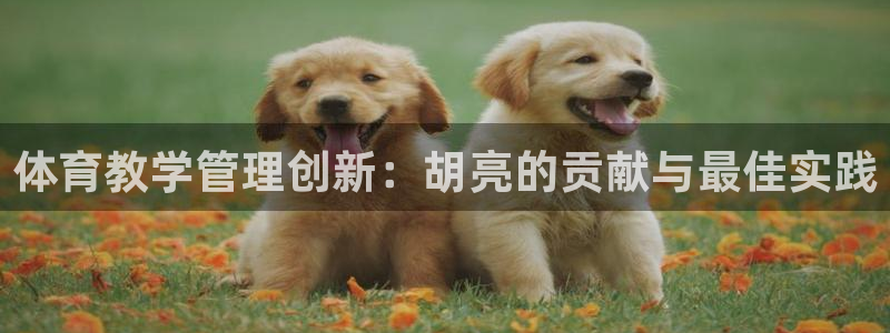 必一体育sport网