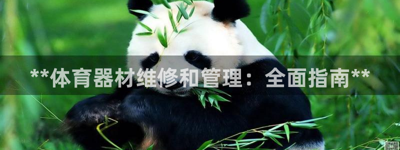 必一体育运动平台官网