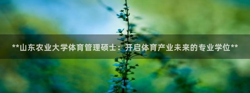 必一体育网址：**山