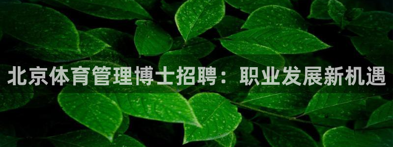 必一体育下载入口：北