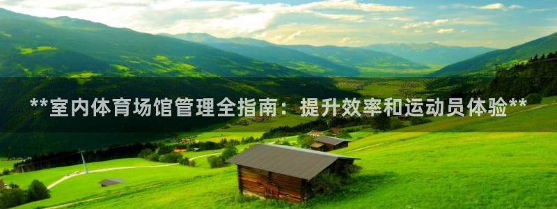 必一体育官方网站入口