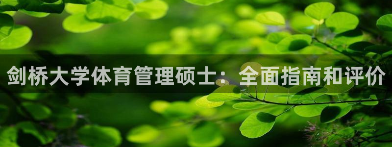 必一运动sport爱