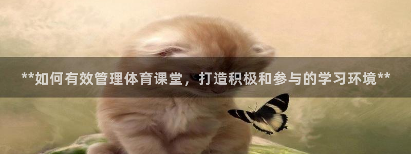 必一体育sport装