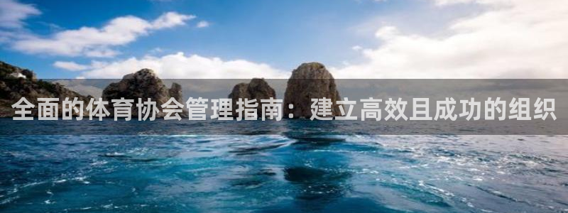 必一运动体：全面的体