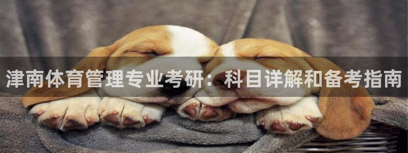 必一体育在线玩：津南