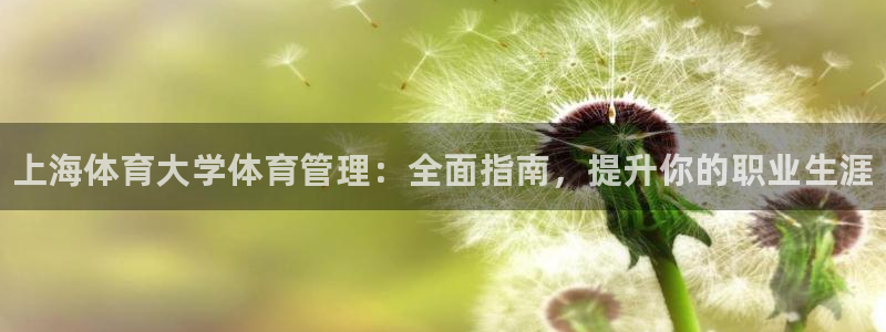 b体育必一下载：上海