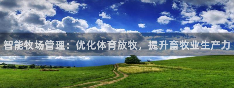 必一体育验证码：智能