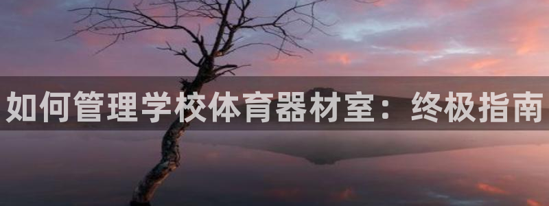 必一体育网页登录版官