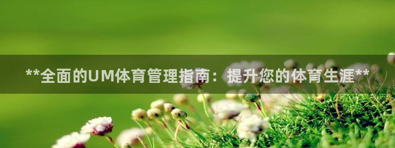 必一体育运动app下