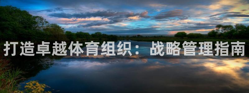 必一体育怎么下载：打造卓越体育组织：战略管理指南