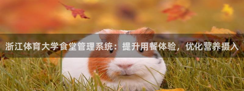 必一体育官网网址：浙