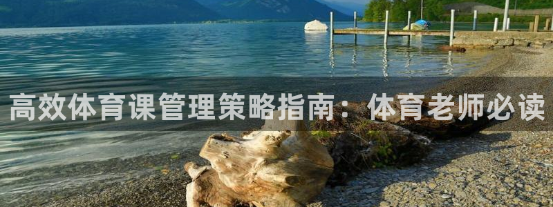 必一体育下载app下