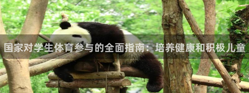 必一体育下载：国家对学生体育参与的全面指南：培养健康和积极儿