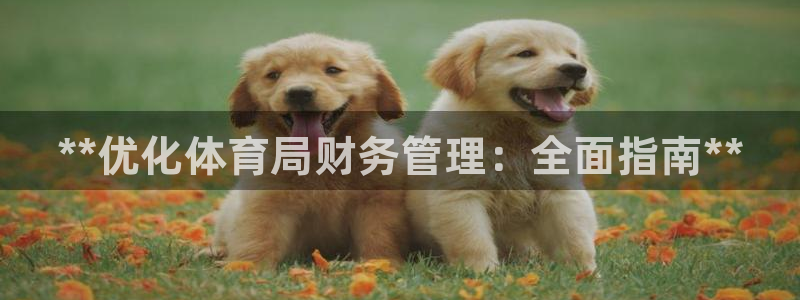 必一运动官网：**优