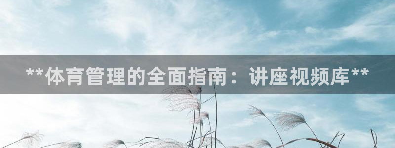 必一体育在线官网：*