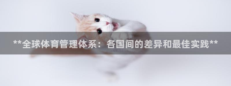 必一体育app官方正