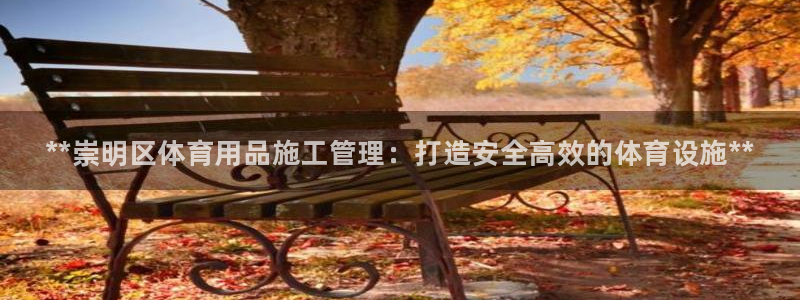 必一体育sport官