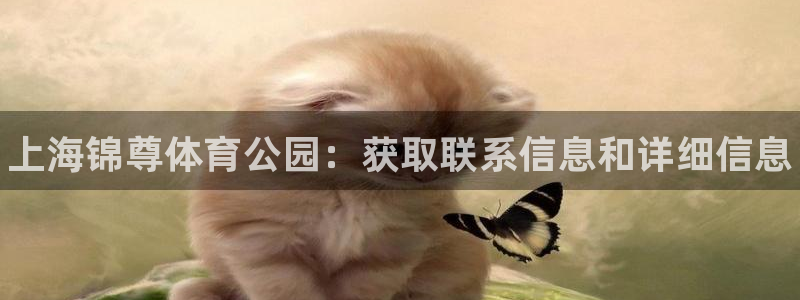 必一体育sport官