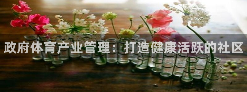 必一体育官方网站入口：政府体育产业管理：打造健康活跃的社区