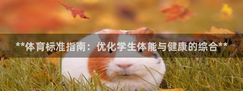 b体育必一运动网页版