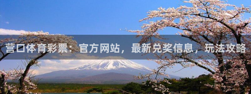 b体育官网下载入口a