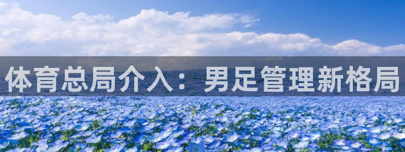 必一体育游戏玩法：体