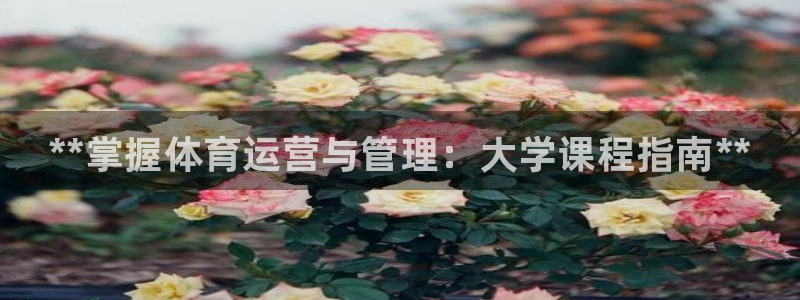 必一体育怎么下载：*