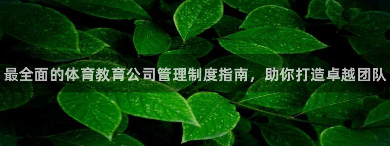 必一体育官网网站：最