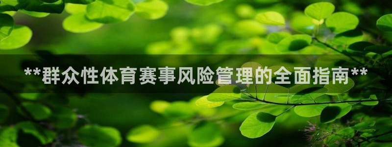 必一体育运动app：