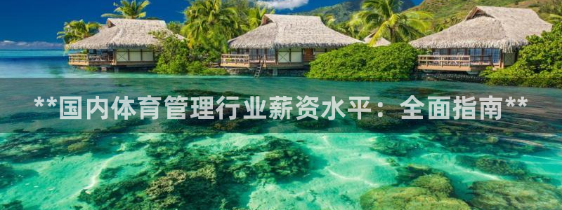 b体育必一下载：**国内体育管理行业薪资水平：全面指南**