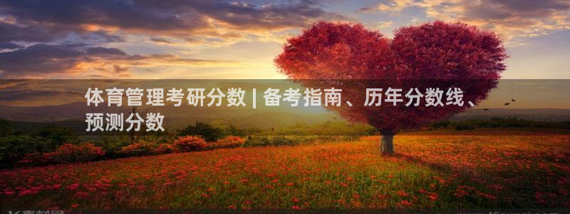 必一体育sport：