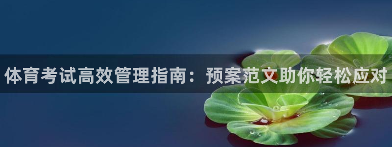 必一体育网址：体育考