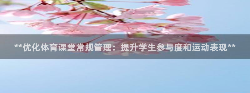 必一体育sport网